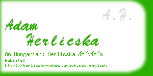 adam herlicska business card